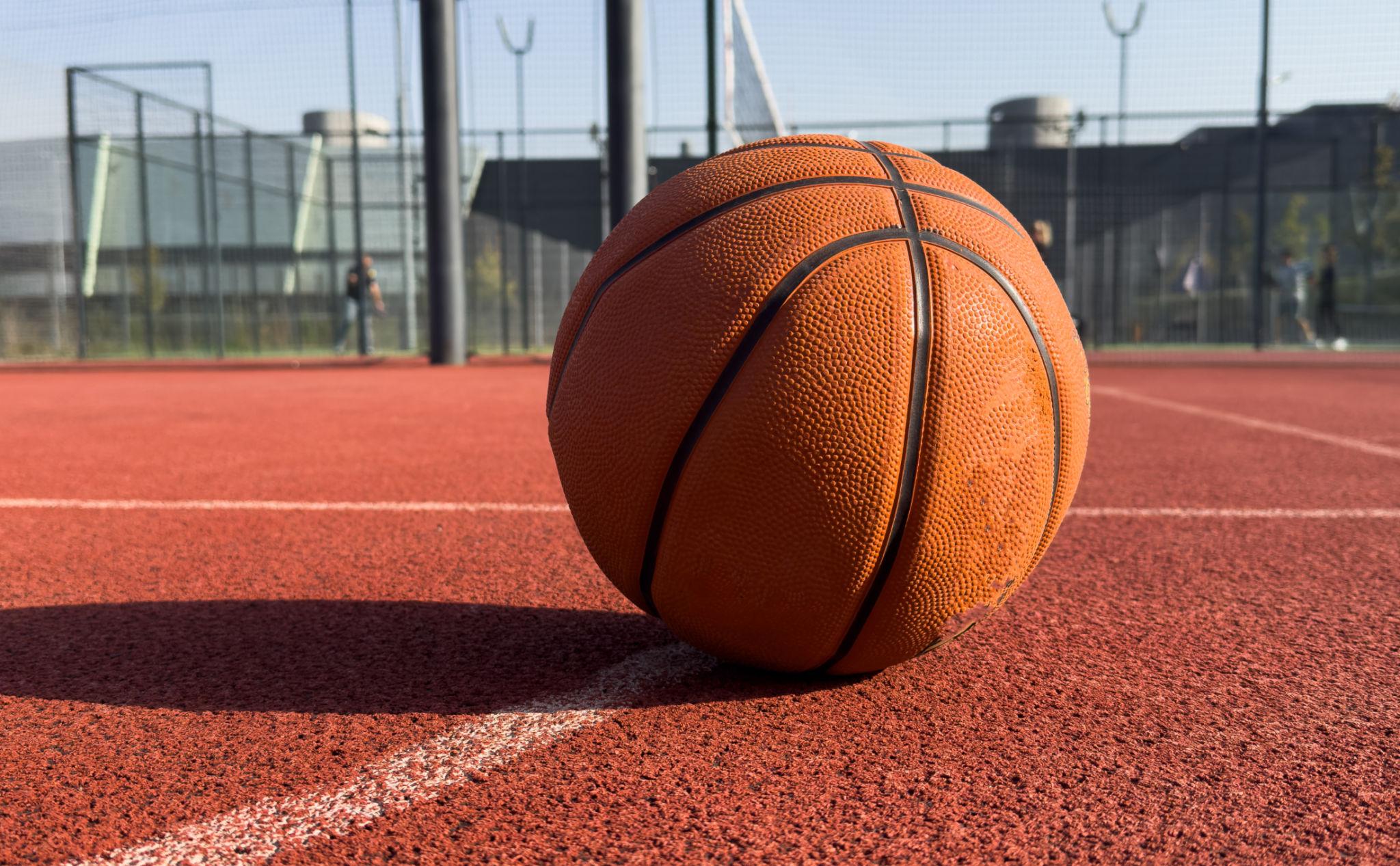 Professional Basketball 3