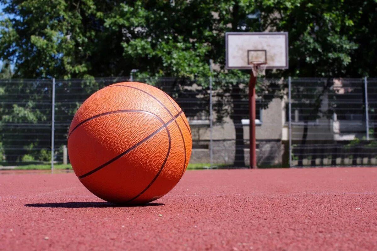 Professional Basketball 5